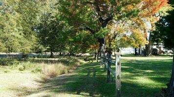 le bois clôture vue avec le vert Prairie et coloré des arbres comme Contexte dans l'automne photo