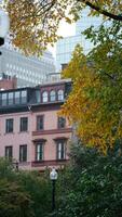 le magnifique ville l'automne vue avec le coloré des arbres et feuilles dans le pluvieux journée photo