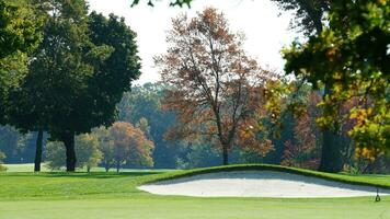 le magnifique l'automne vue avec le coloré des arbres et feuilles dans le parc photo