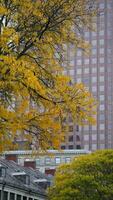 le magnifique Campus l'automne vue avec le coloré des arbres et feuilles dans le pluvieux journée photo