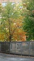 le magnifique Campus l'automne vue avec le coloré des arbres et feuilles dans le pluvieux journée photo