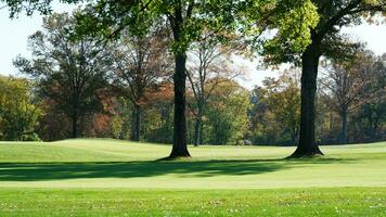 le magnifique l'automne vue avec le coloré des arbres et feuilles dans le parc photo