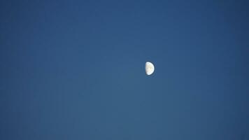 le lune nuit vue avec le plein lune et des nuages dans le ciel photo