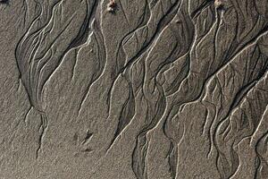 gros plan plage de sable photo