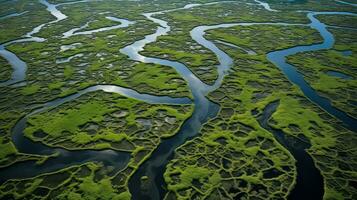 ai généré la biodiversité tourbe marais paysage photo