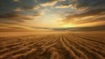 ai généré les plantes surgir des champs les terres agricoles photo