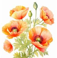 ai généré épanouissement coquelicot fleur La peinture dans aquarelle photo