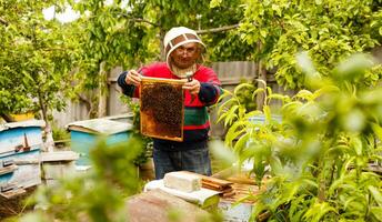 apiculteur tenant un cadre en nid d'abeille photo