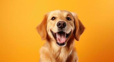 ai généré chien sourire sur Contexte isolé sur Orange photo