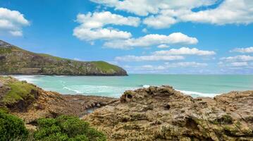 scénique paysage de Port Chalmers, dunedin Nouveau la zélande, une faune tour à regarder scellés et pingouins photo