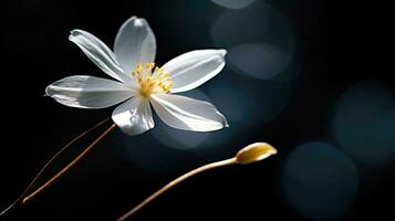 ai généré fleurs, Contexte image, fleur champ, luminosité, fraîcheur, paysage, paysage, la nature photo