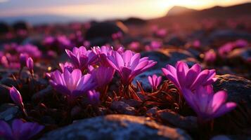 ai généré fleurs, Contexte image, fleur champ, luminosité, fraîcheur, paysage, paysage, la nature photo