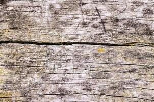 une proche en haut de une bois surface avec certains des fissures photo