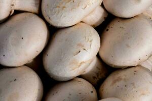 une proche en haut de une pile de blanc champignons photo