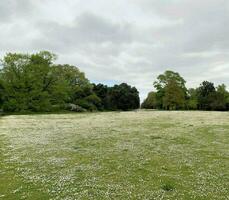 une vue de une parc dans Londres sur une nuageux journée photo