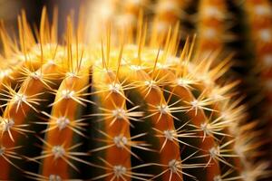 ai généré fermer de le d'or baril cactus, échinocactus grusonii, une désert plante originaire de à Mexique photo