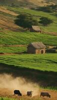 ai généré émouvant sérénité une aperçu dans africain rural splendeur photo