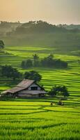 ai généré harmonie dans le des champs capturer le essence de asiatique rural la vie photo