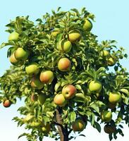 ai généré une magnifique vert Pomme arbre. ai généré photo