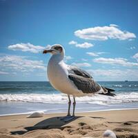 ai généré mouette sur le plage en dessous de bleu ciel. photo