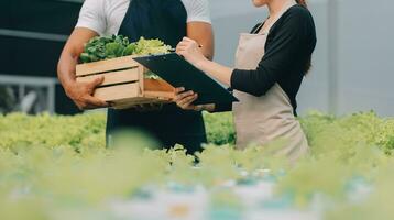 Jeune asiatique femme et Sénior homme agriculteur travail ensemble dans biologique hydroponique salade légume cultiver. moderne légume jardin propriétaire en utilisant numérique tablette inspecter qualité de salade dans serre jardin. photo