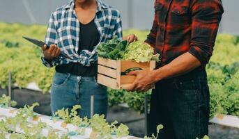 Jeune asiatique femme et Sénior homme agriculteur travail ensemble dans biologique hydroponique salade légume cultiver. moderne légume jardin propriétaire en utilisant numérique tablette inspecter qualité de salade dans serre jardin. photo