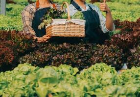 femme jardinier inspecte qualité de vert chêne salade dans serre jardinage. femelle asiatique horticulture agriculteur cultiver en bonne santé nutrition biologique salade des légumes dans hydroponique secteur agroalimentaire cultiver. photo