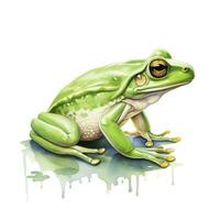 ai généré aquarelle vert grenouille sur blanc Contexte. ai généré photo