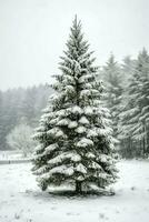 pin des arbres ou décoré Noël arbre couvert par neige sur magnifique l'hiver. Noël thème en plein air par ai généré photo