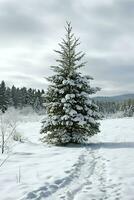 pin des arbres ou décoré Noël arbre couvert par neige sur magnifique l'hiver. Noël thème en plein air par ai généré photo