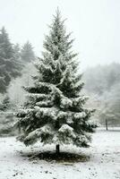 pin des arbres ou décoré Noël arbre couvert par neige sur magnifique l'hiver. Noël thème en plein air par ai généré photo