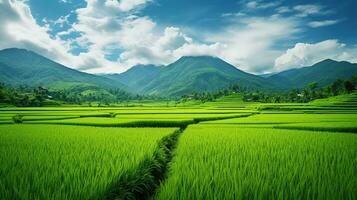 ai généré vert riz des champs dans le pluvieux saison magnifique Naturel paysage photo