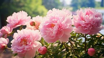 ai généré magnifique pivoine sur la nature photo