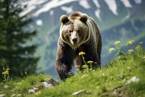 ai généré marron ours en mouvement sur le vert Prairie dans printemps la nature. ai généré photo