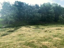 une vue de le Cheshire campagne dans le été près Knutsford photo