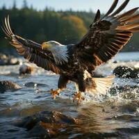 ai généré Aigle magnifique mer, prêt pour chasse poisson, en volant faucon génératif ai photo