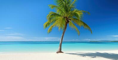 ai généré un image de une paume arbre sur une blanc sablonneux plage photo