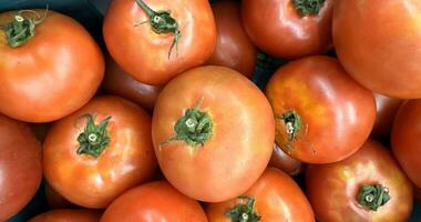 groupe de tomates mensonge sur une pile sur Haut de chaque autre, tomate texture. sélectif se concentrer, pour contenu création photo