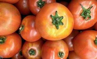 groupe de tomates mensonge sur une pile sur Haut de chaque autre, tomate texture. sélectif se concentrer, pour contenu création photo