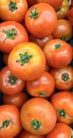 groupe de tomates mensonge sur une pile sur Haut de chaque autre, tomate texture. sélectif se concentrer, pour contenu création photo