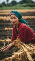 ai généré harmonie dans le des champs portraits de asiatique femelle Les agriculteurs photo