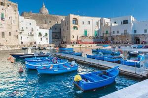 monopole, le port et le centre historique photo