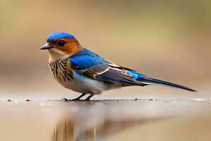 ai généré une petit oiseau avec une bleu et blanc tête photo