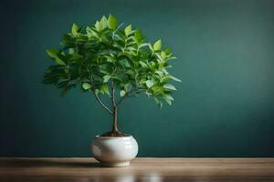 ai généré une mis en pot plante sur une table photo