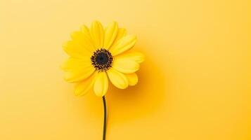 ai généré Jaune tournesol sur Jaune Contexte plat poser, Haut vue photo