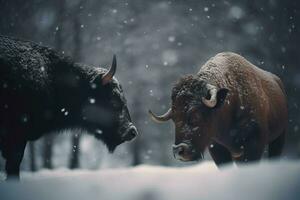 ai généré deux géant marron taureaux dans l'hiver. produire ai photo