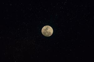 lune dans le nuit. photo