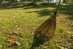 balai champ dans le jardin. photo