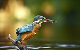 ai généré le commun martin-pêcheur marécages oiseau coloré plumes de différent des oiseaux. génératif ai photo