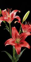 ai généré rouge fleurs de lys sur noir Contexte. ai généré photo